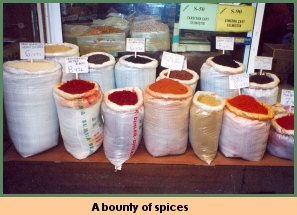 [A bounty of spices]