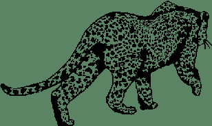 [Leopard Logo]